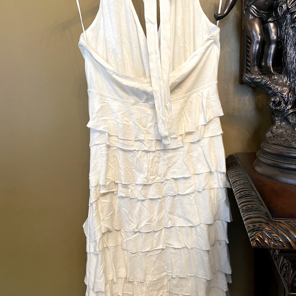 Express Ruffles Dress - Picture 3 of 9